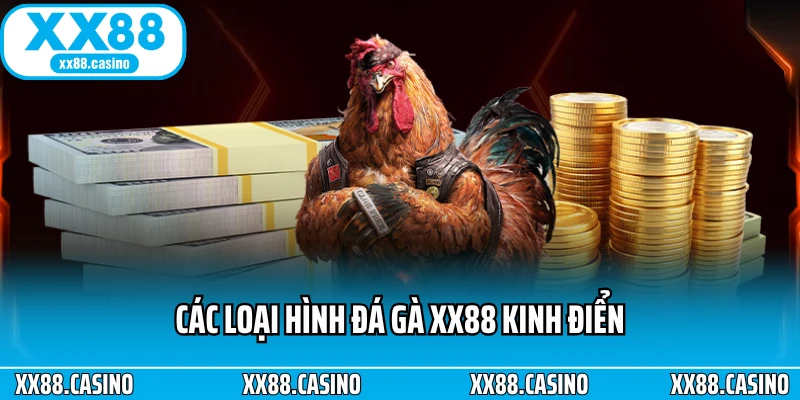 Các loại hình đá gà XX88 kinh điển Các loại hình đá gà XX88 kinh điển